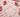 Copper dowsing rods laid on a pink surface surrounded by blush roses and rose petals, used for divination, spirit communication, and energy mapping
