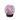 Amethyst Druzy Sphere with wooden stand - Heavenly Crystals Online