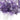 Amethyst Geode Cave (44.7kgs) - Natural Crystal for Meditation, Protection & Spiritual Growth | Pickup Gold Coast - Heavenly Crystals Online