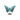 Blue Apatite Butterfly on Stand (203g) - Communication, Manifestation & Inspiration Crystal - Heavenly Crystals Online