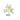Citrine & Clear Quartz Crystal Tree – 137g to 178g of Radiant Energy - Heavenly Crystals Online