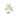 Citrine & Clear Quartz Crystal Tree – 137g to 178g of Radiant Energy - Heavenly Crystals Online