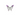 Fluorite Rainbow Butterfly - Heavenly Crystals Online