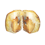 Gold Agate Bookends (3.159 kg) Natural Agate Pair - Heavenly Crystals Online