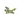 Jade Dragon - Prosperity & Good Fortune - Heavenly Crystals Online