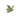 Jade Dragon - Prosperity & Good Fortune - Heavenly Crystals Online