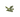 Jade Dragon - Prosperity & Good Fortune - Heavenly Crystals Online