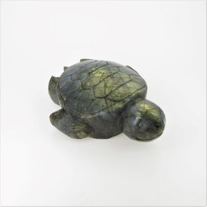 Labradorite Turtle - Heavenly Crystals Online