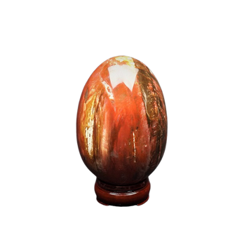 Petrified Wood Jasper Egg with Wooden Stand (1.256kg) The Stone of Ancient Wisdom, Grounding & Transformation - Heavenly Crystals Online