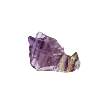 Rainbow Fluorite Dragon Head - Heavenly Crystals Online