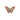 Rhodonite Butterfly (139g) Natural Crystal Carving for Heart Healing & Emotional Balance - Heavenly Crystals Online