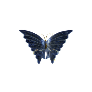 Sodalite Butterfly (93g) – Crystal Carving for Intuition, Calm & Clarity - Heavenly Crystals Online