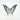 Trolleite Quartz with Lazulite Butterfly (108g) – High‑Vibration Awakening & Soul‑Path Activation Carving - Heavenly Crystals Online