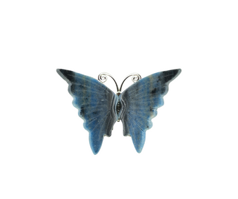 Trolleite Quartz with Lazulite Butterfly - Heavenly Crystals Online