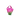 Watermelon Aura Quartz Cluster (82g) – Joy, Heart Healing & High‑Vibration Energy - Heavenly Crystals Online
