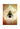 The Spirit Animal Oracle - Colette Baron‑Reid & Jena Della Grottaglia - Animal Wisdom, Intuition & Spiritual Guidance - Heavenly Crystals Online