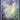 Whispers of Healing Oracle Cards - Angela Hartfield & Josephine Wall - Emotional Healing, Intuition & Gentle Guidance - Heavenly Crystals Online