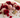 Healing crystals for love and relationships including Rose Quartz, Rhodonite, Moonstone and Garnet on a luxury background