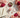 Rose Quartz crystals styled on a luxury background for love, self-love and heart healing rituals
