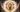 The 8/8 Lion's Gate Portal: What It Is & the Best Crystals to Work With
