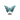 Blue Apatite Butterfly on Stand (203g) - Communication, Manifestation & Inspiration Crystal - Heavenly Crystals Online