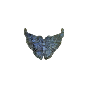 Blue Labradorite Butterfly - Heavenly Crystals Online