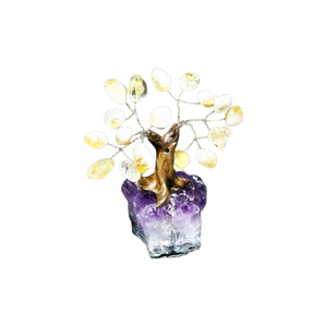 Citrine Bonsai Tree with Amethyst Cluster (206g) - Abundance, Calm & High‑Vibration Crystal Decor - Heavenly Crystals Online