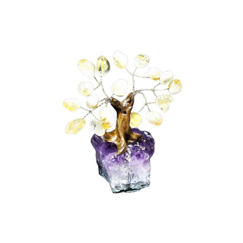Citrine Bonsai Tree with Amethyst Cluster (206g) - Abundance, Calm & High‑Vibration Crystal Decor - Heavenly Crystals Online