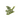 Jade Dragon - Heavenly Crystals Online