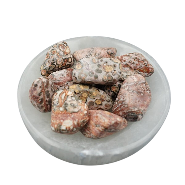 Leopard Skin Jasper Tumbled Stone – Strength, Grounding & Shamanic ...