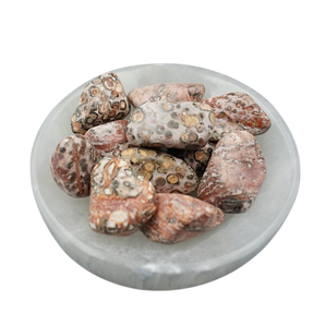 Leopard Skin Jasper Tumbled Stone Large - Strength, Grounding & Shamanic Connection - Heavenly Crystals Online
