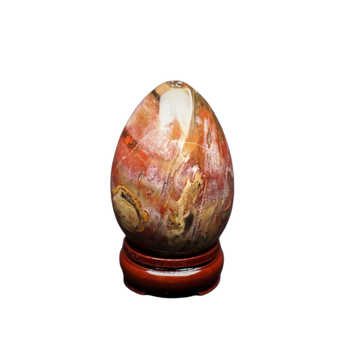 Petrified Wood Jasper Egg with Wooden Stand (450g) The Stone of Ancient Wisdom, Grounding & Transformation - Heavenly Crystals Online