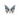Rainbow Fluorite Butterfly - Heavenly Crystals Online