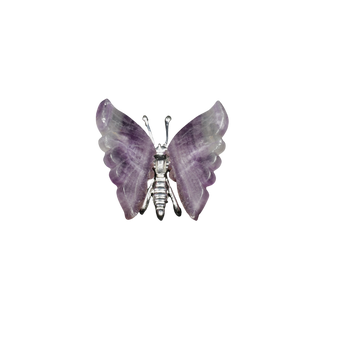Rainbow Fluorite Butterfly (120g) Clarity & Transformation - Heavenly Crystals Online