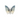 Rainbow Fluorite Butterfly - Heavenly Crystals Online