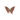 Rhodonite Butterfly - Heavenly Crystals Online
