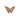 Rhodonite Butterfly - Heavenly Crystals Online