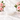 Selenite Bowl (10cm) – Cleansing, Charging & Purification Crystal Bowl - Heavenly Crystals Online
