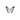 Sodalite Butterfly (92g) Intuition, Clarity & Emotional Balance Crystal - Heavenly Crystals Online