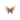 Strawberry Quartz Butterfly - Heavenly Crystals Online