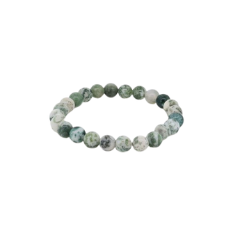 Tree Agate Bracelet (8mm) Grounding, Growth & Emotional Balance - Heavenly Crystals Online