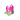 Watermelon Aura Quartz Cluster - Heavenly Crystals Online