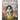 Wisdom of the Hidden Realms Oracle Cards - Heavenly Crystals Online