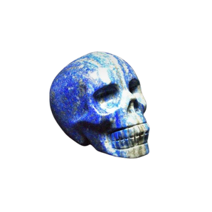 Lapis Lazuli Skull - 461 grams