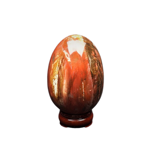 Petrified Wood Jasper Egg with wooden stand - 1.256 kgs