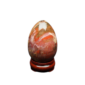Petrified Wood Jasper Egg with wooden stand - 450 grams