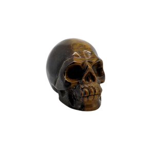 Golden Brown Tigers Eye Carved Skull - 92 grams