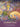 Gratitude Oracle Cards - Angela Hartfield & Josephine Wall - Mindfulness, Appreciation & Heart‑Centered Guidance - Heavenly Crystals Online