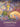 Gratitude Oracle Cards - Angela Hartfield & Josephine Wall - Mindfulness, Appreciation & Heart‑Centered Guidance - Heavenly Crystals Online